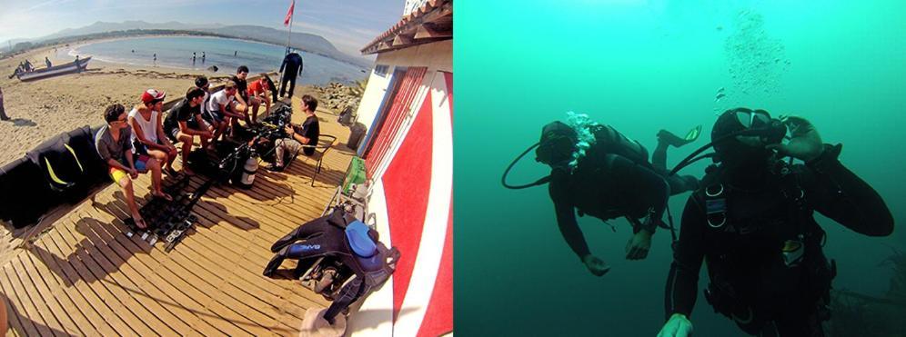 Hermosos Dias Soleados, Surf, Buceo, Restaurantes, Caminatas En Playa Los Molles-Cabana 2 A 3 Personas Exterior foto